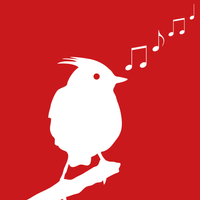 Skylark Music Ltd. logo
